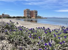 SEYCHELLES, ESC. 2, 4º F - REF 1472 