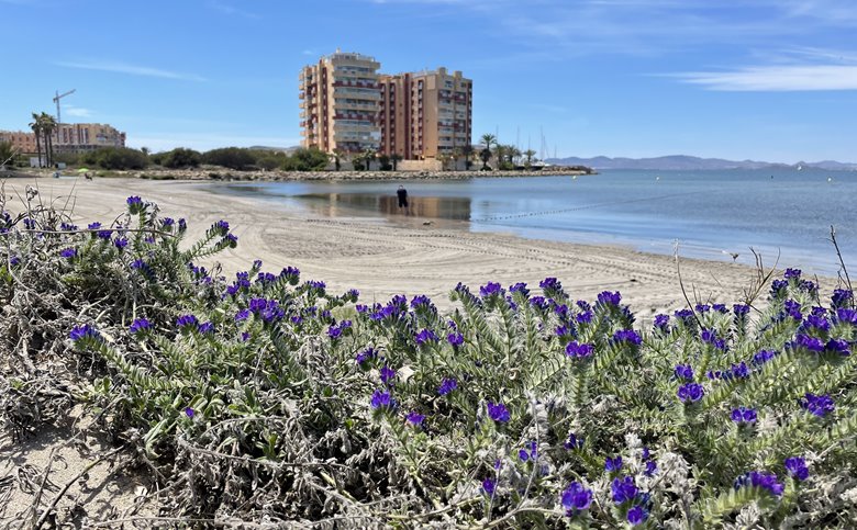 SEYCHELLES, ESC. 2, 4º F - REF 1472 